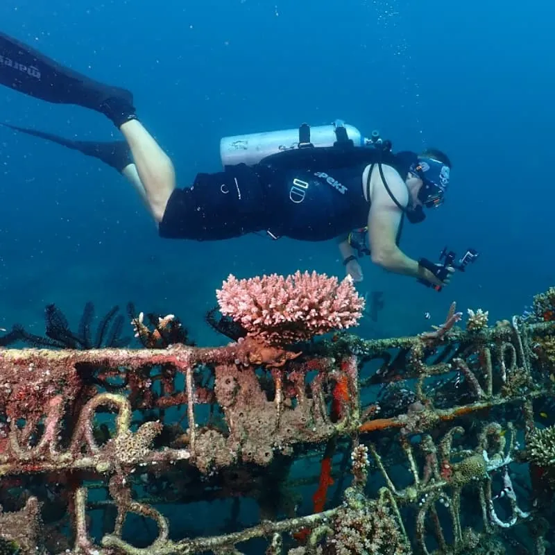 Amed Scuba Diving Bali - Gallery 1