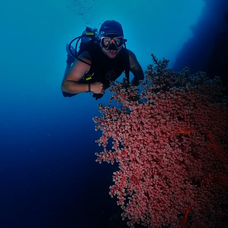 Menjangan Island Scuba Diving - Gallery 3