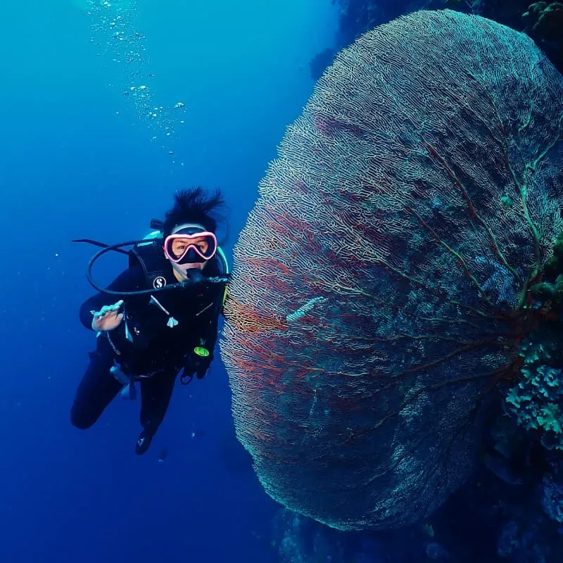Menjangan Island Scuba Diving - Gallery 4